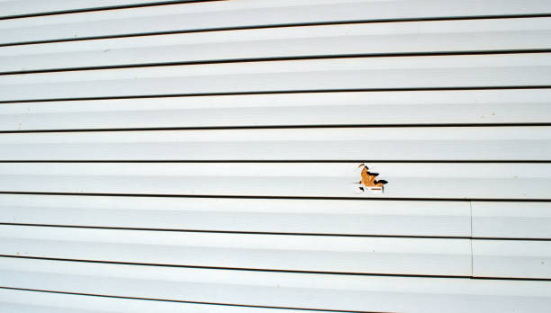Best Siding Replacement  in Fife, WA