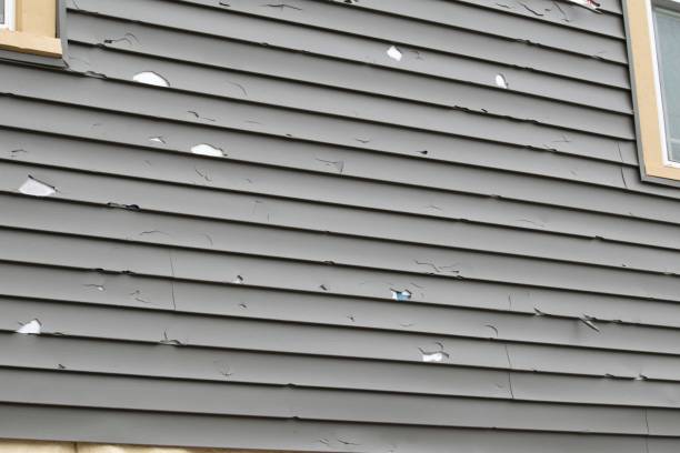 Professional Siding Installation & Repair in Fife, WA