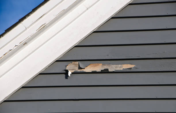 Best James Hardie Siding  in Fife, WA